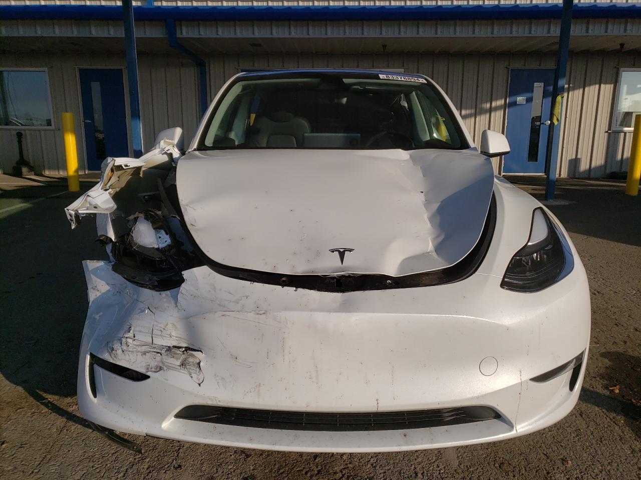 2024 TESLA MODEL Y - Image 5