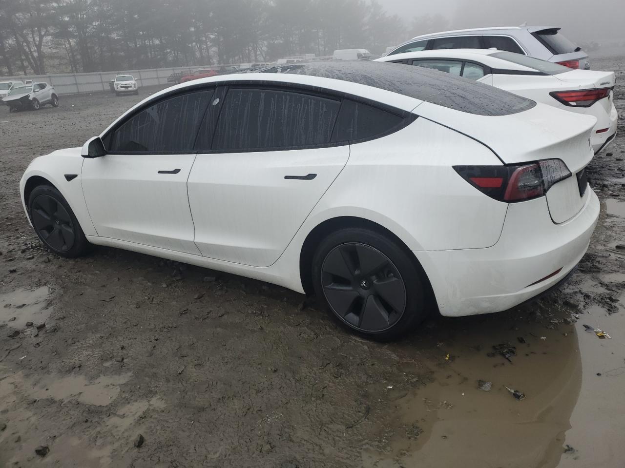 2023 TESLA MODEL 3 - Image 2