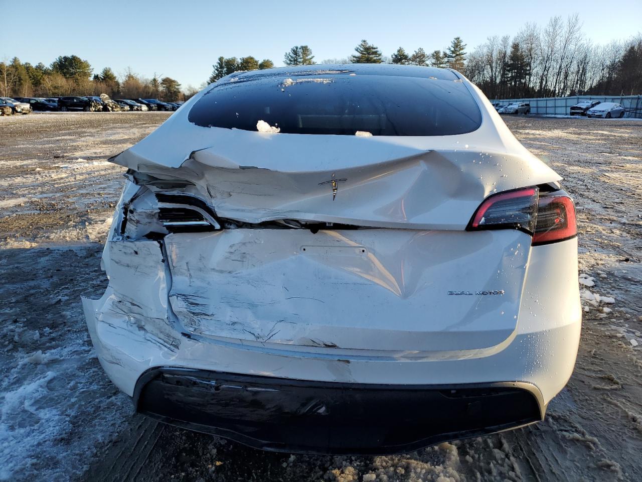 2023 TESLA MODEL Y - Фото 6