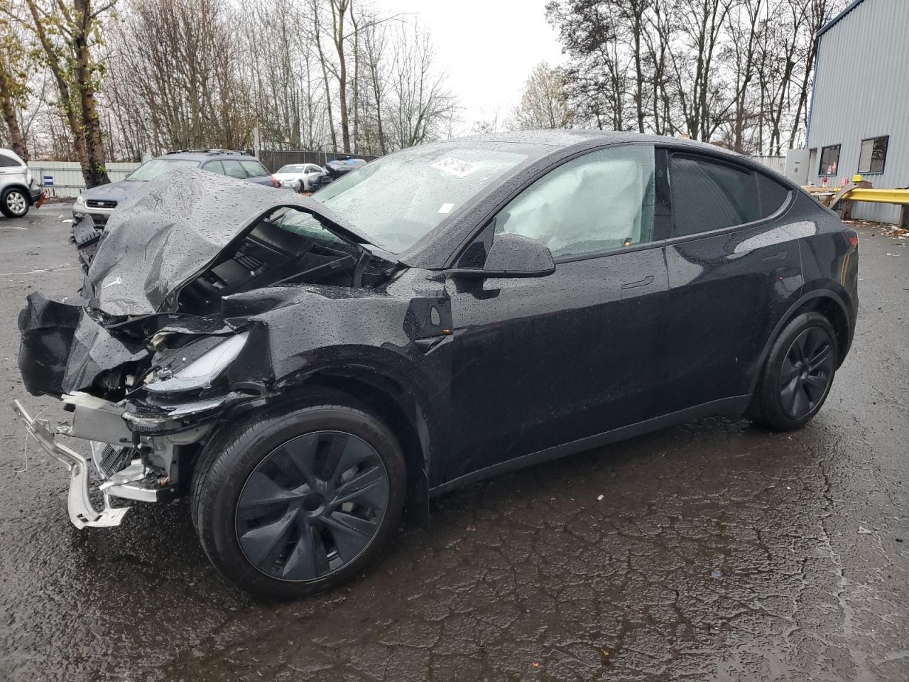 2025 TESLA MODEL Y