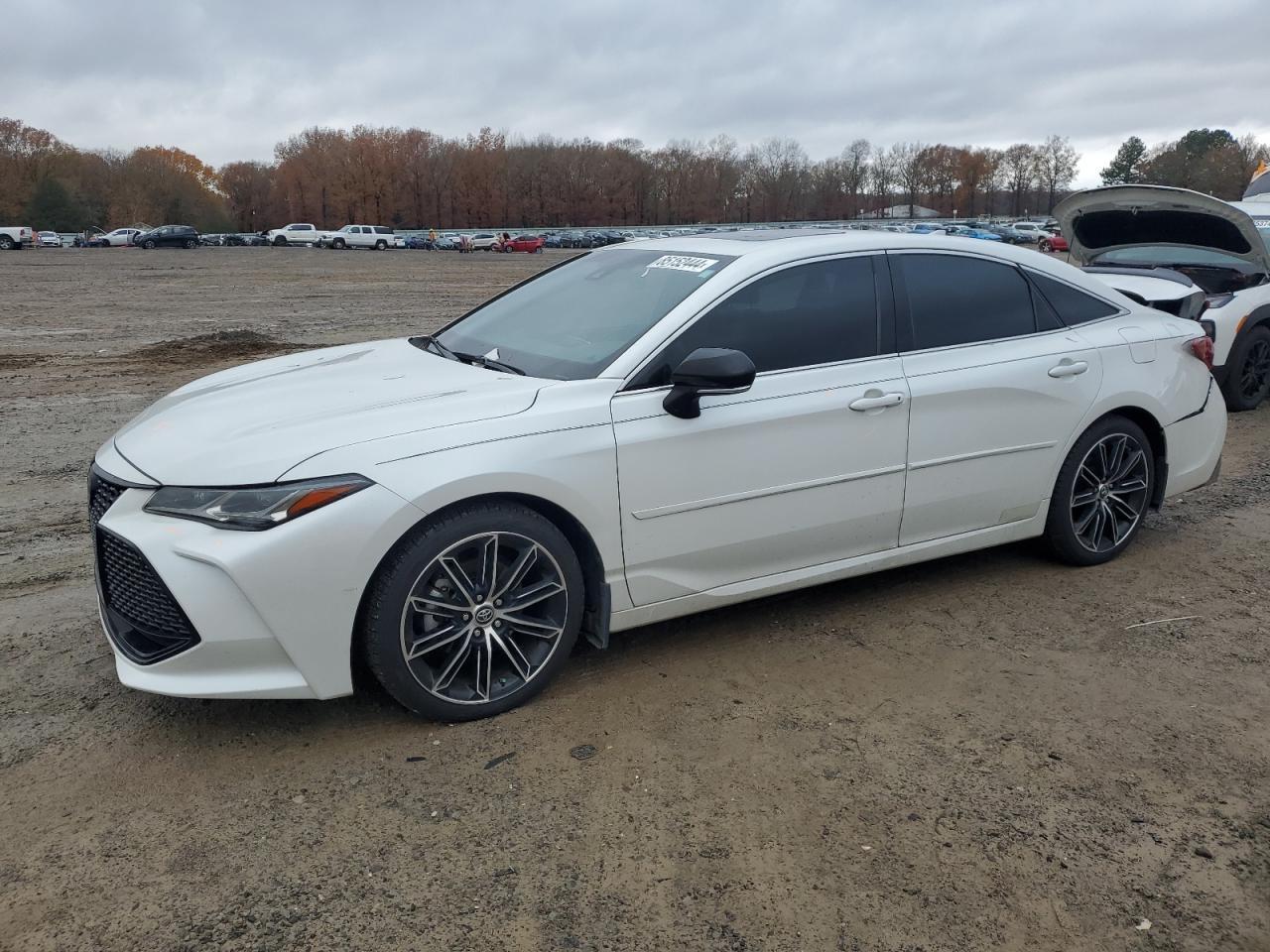 2019 TOYOTA AVALON XLE