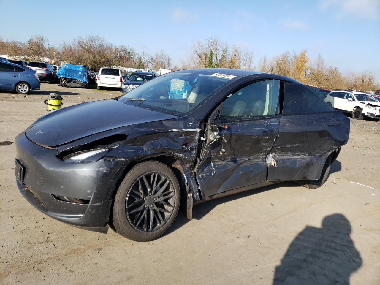 2024 TESLA MODEL Y
