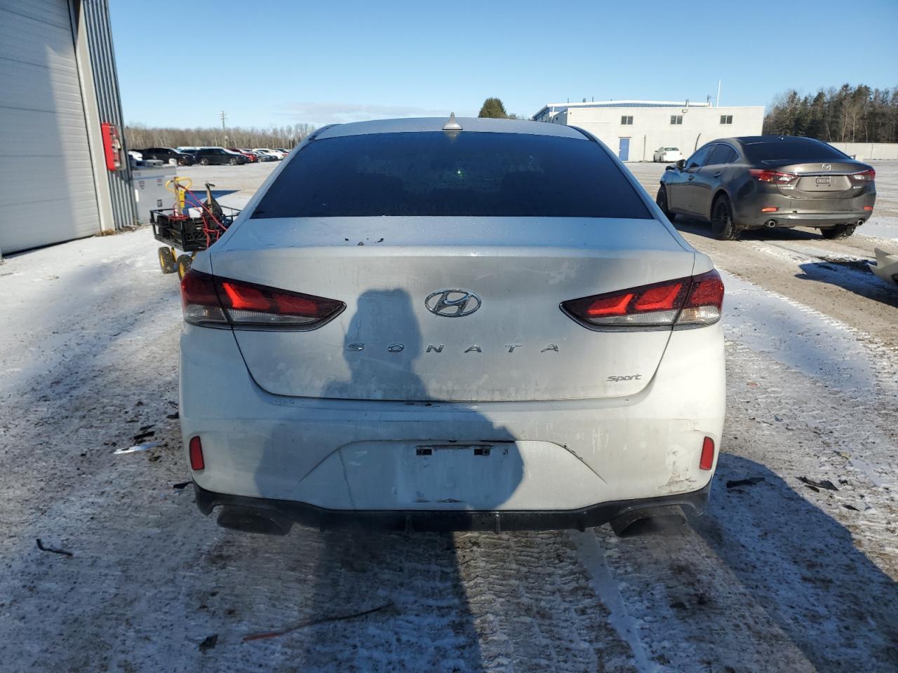 2019 HYUNDAI SONATA LIM - Image 6