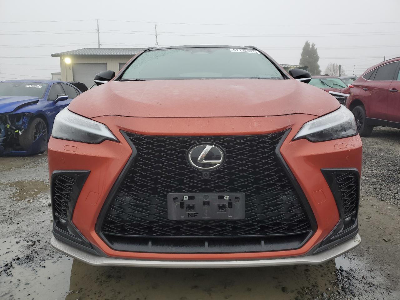 2023 LEXUS NX 350 - Image 5