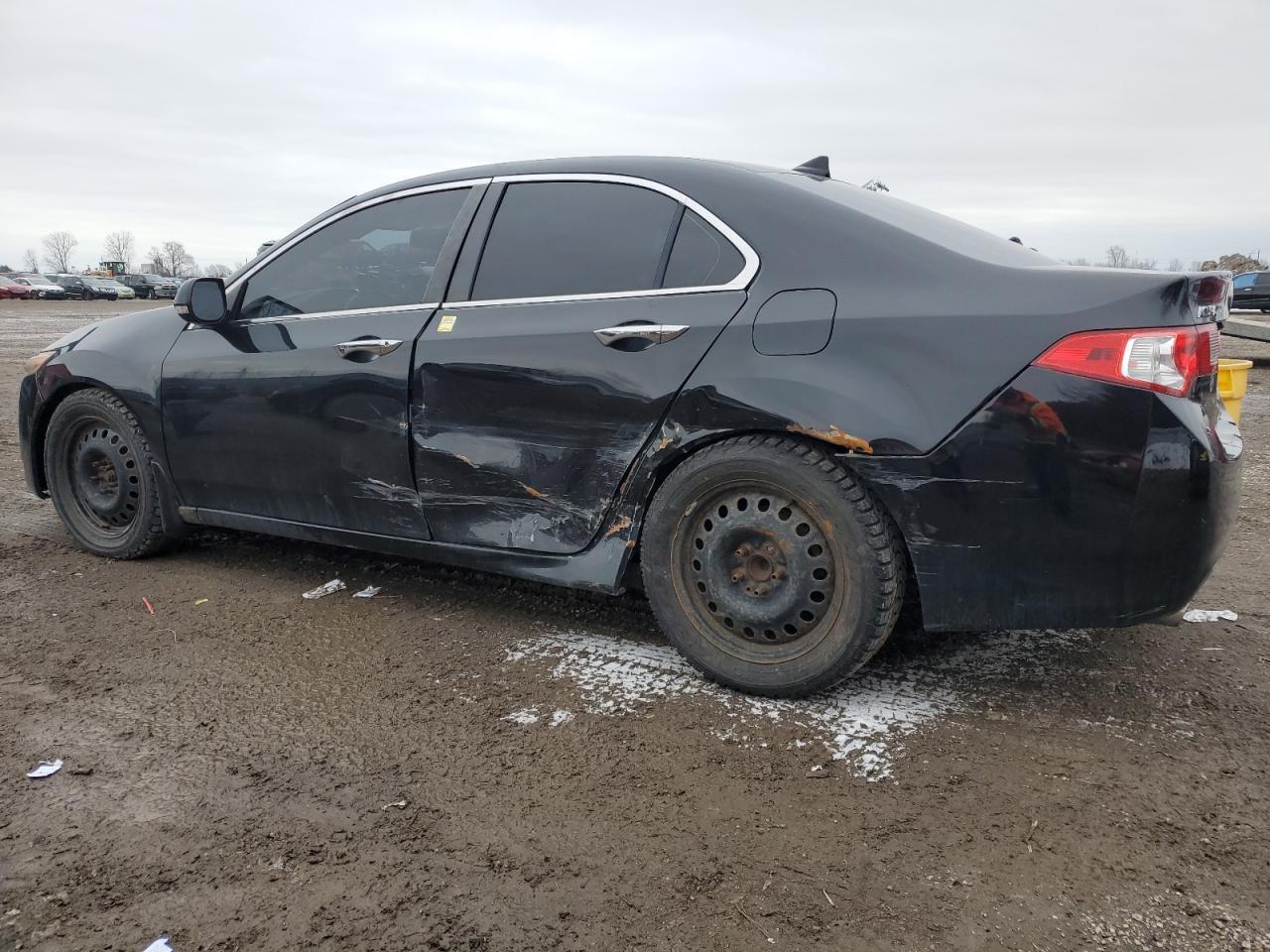 2010 ACURA TSX - Image 2