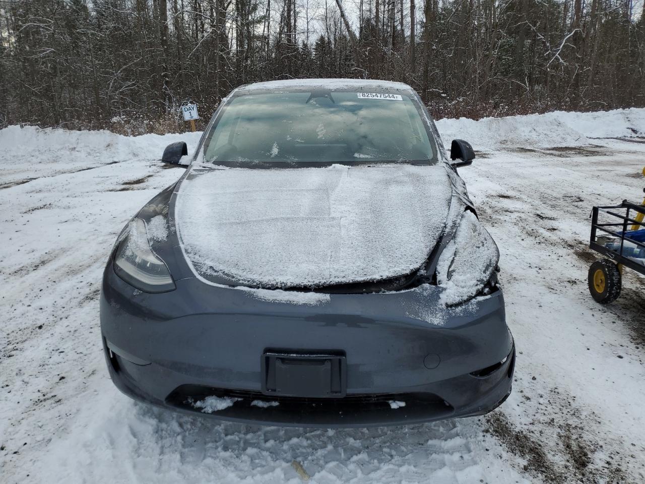 2023 TESLA MODEL Y - Фото 5