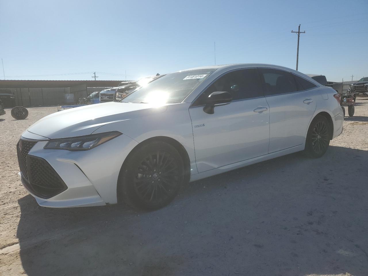 2019 TOYOTA AVALON XLE