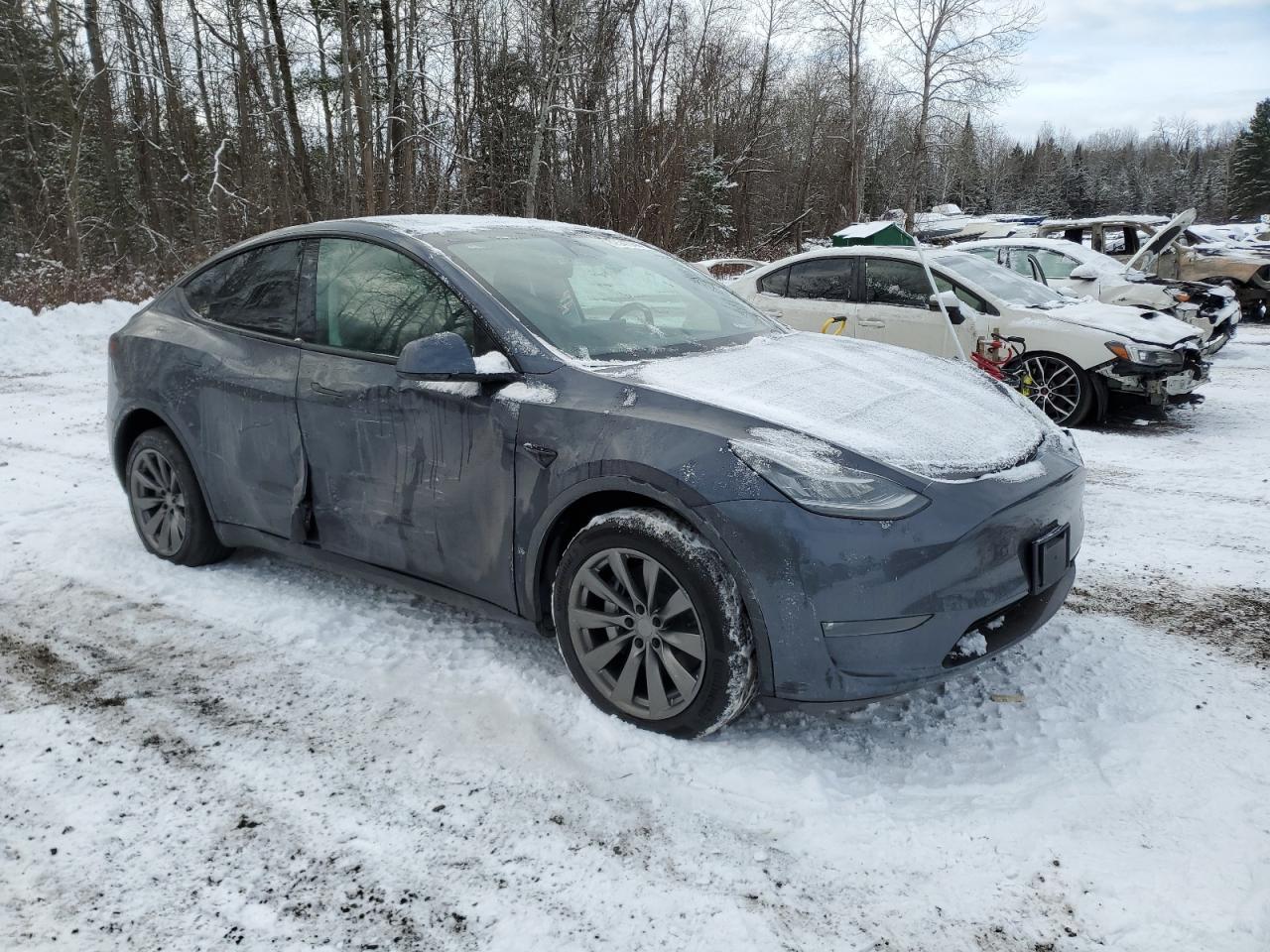 2023 TESLA MODEL Y - Фото 4
