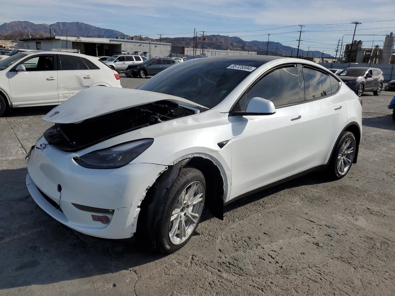 2024 TESLA MODEL Y