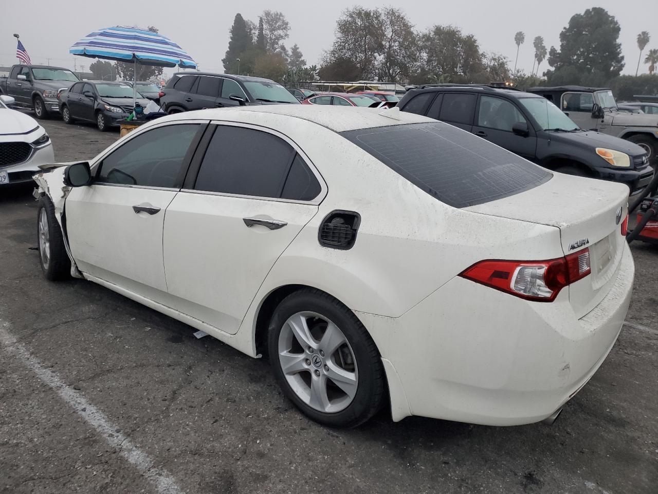2010 ACURA TSX - Image 2