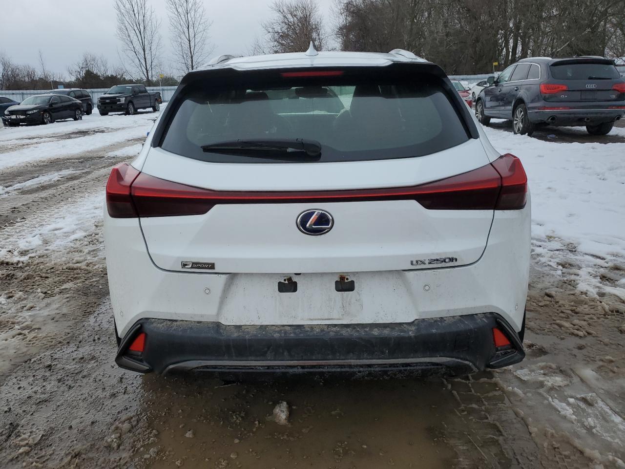 2021 LEXUS UX 250H - Фото 6