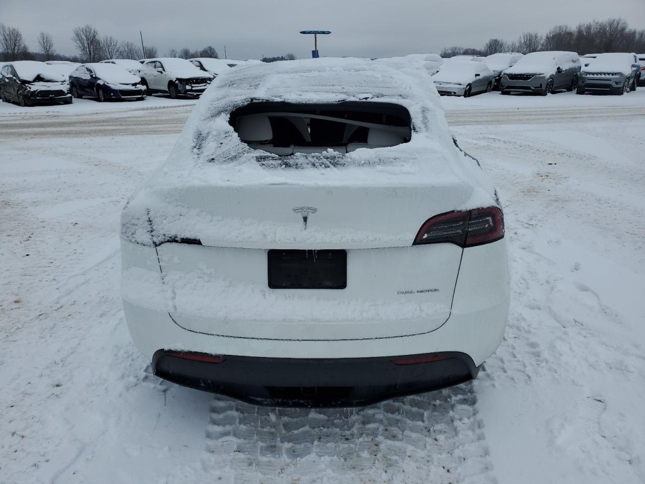 2023 TESLA MODEL Y - Image 6