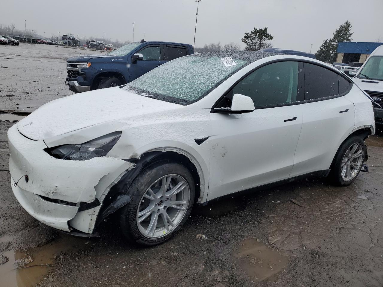 2023 TESLA MODEL Y