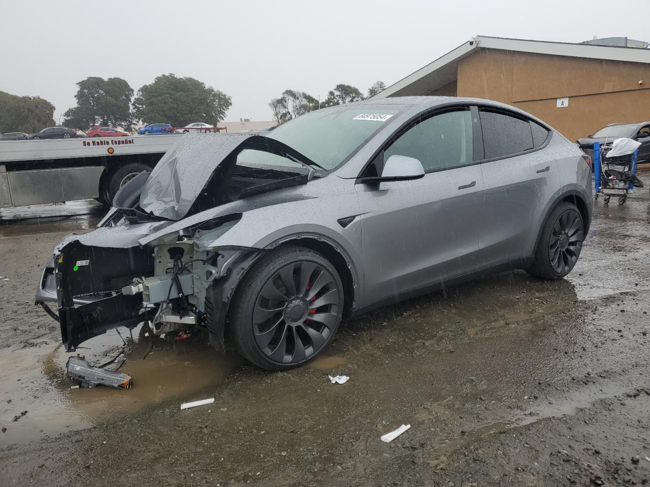 2025 TESLA MODEL Y