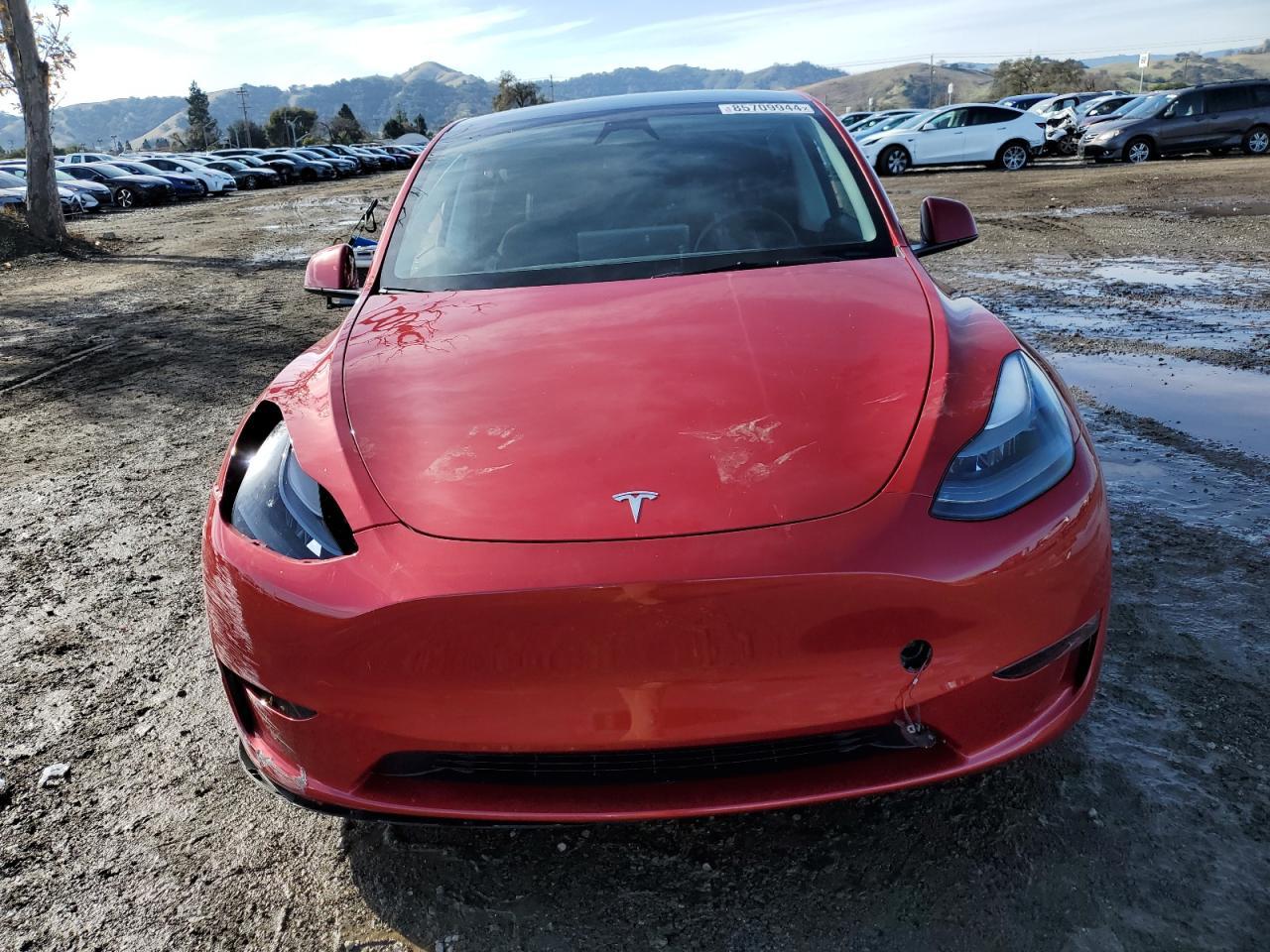 2023 TESLA MODEL Y - Фото 5