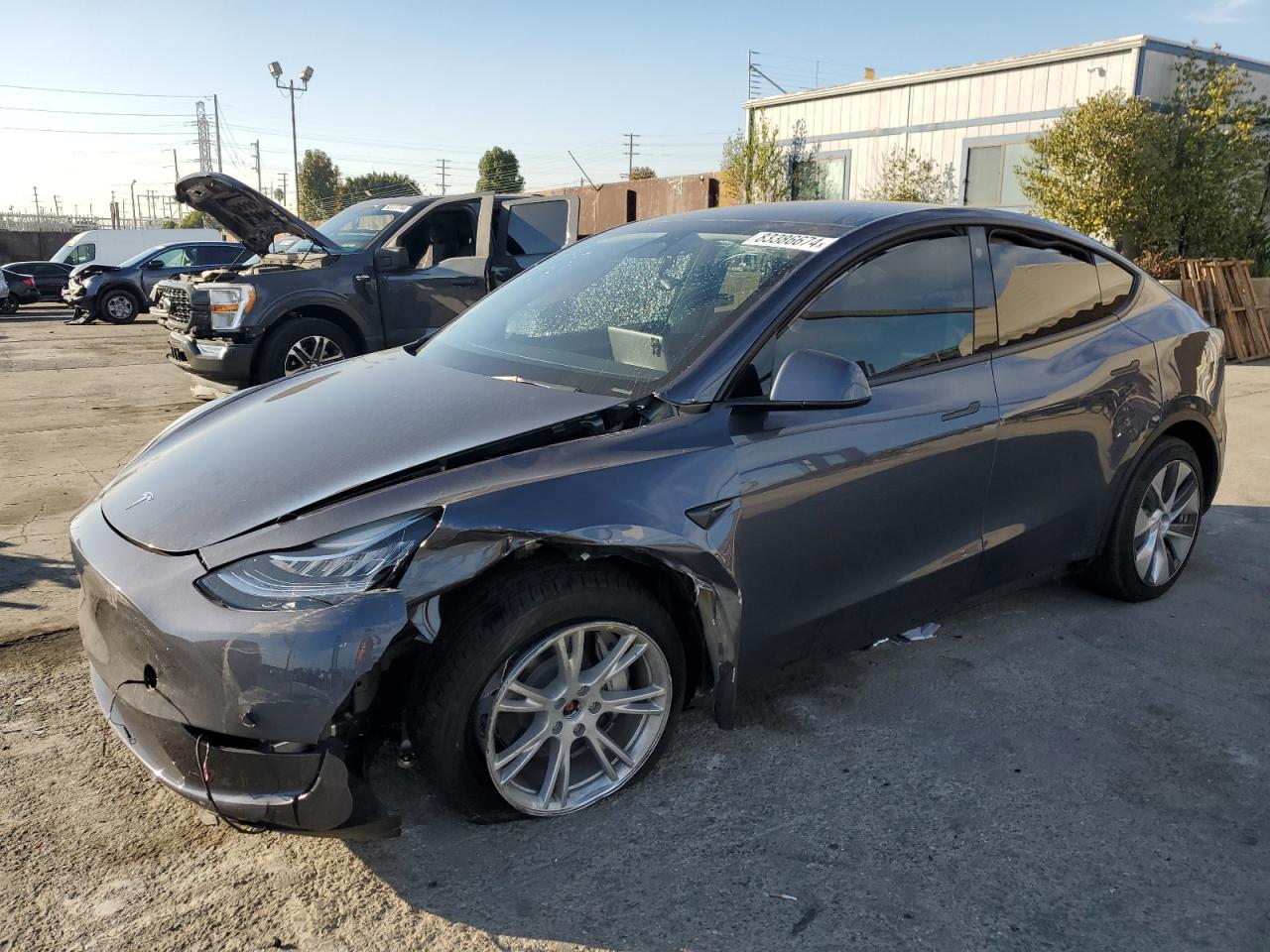 2023 TESLA MODEL Y car image