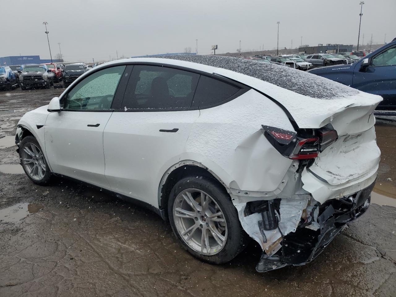 2023 TESLA MODEL Y - Фото 2