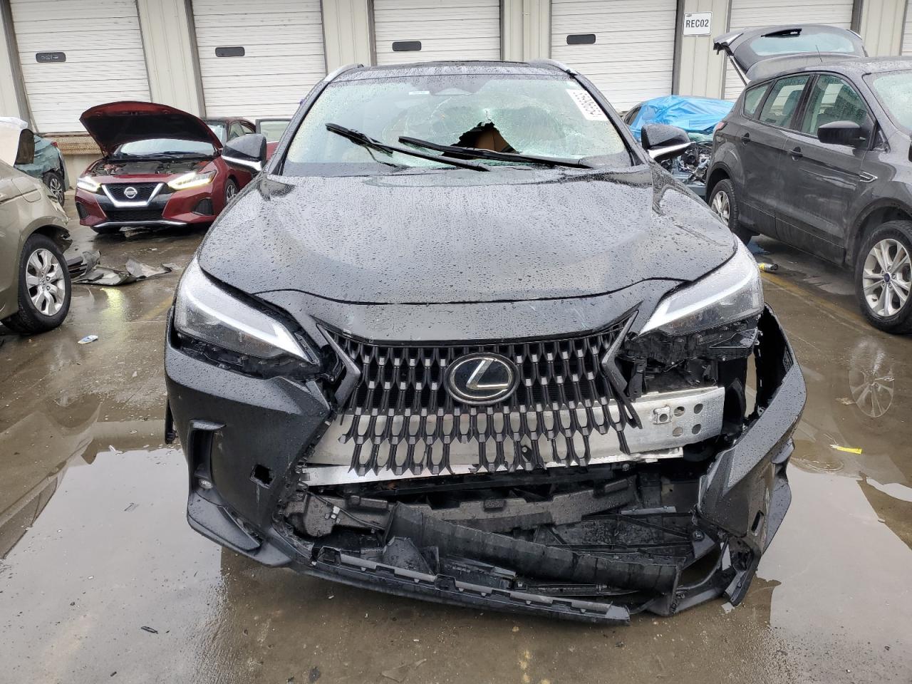 2023 LEXUS NX 350H - Image 5