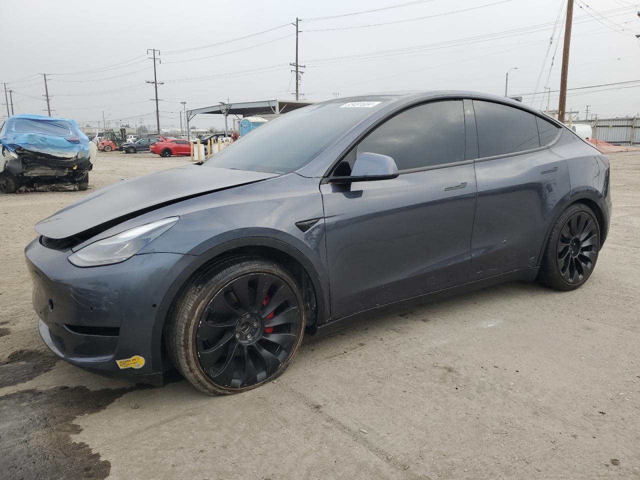 2022 TESLA MODEL Y car image