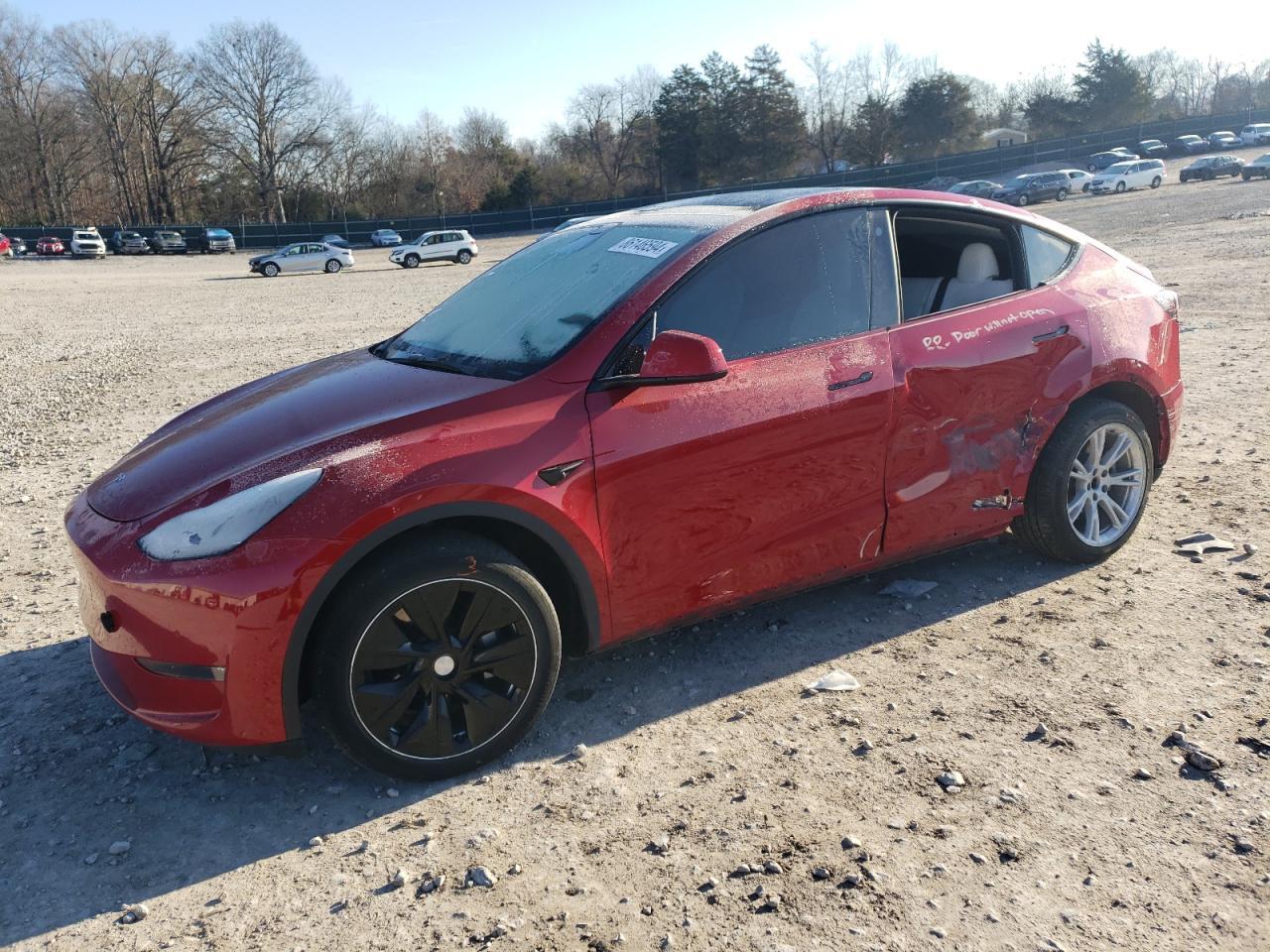 2022 TESLA MODEL Y car image