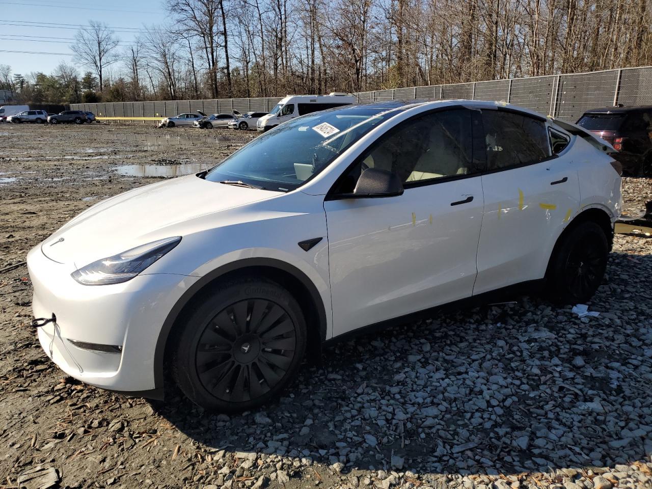 2023 TESLA MODEL Y