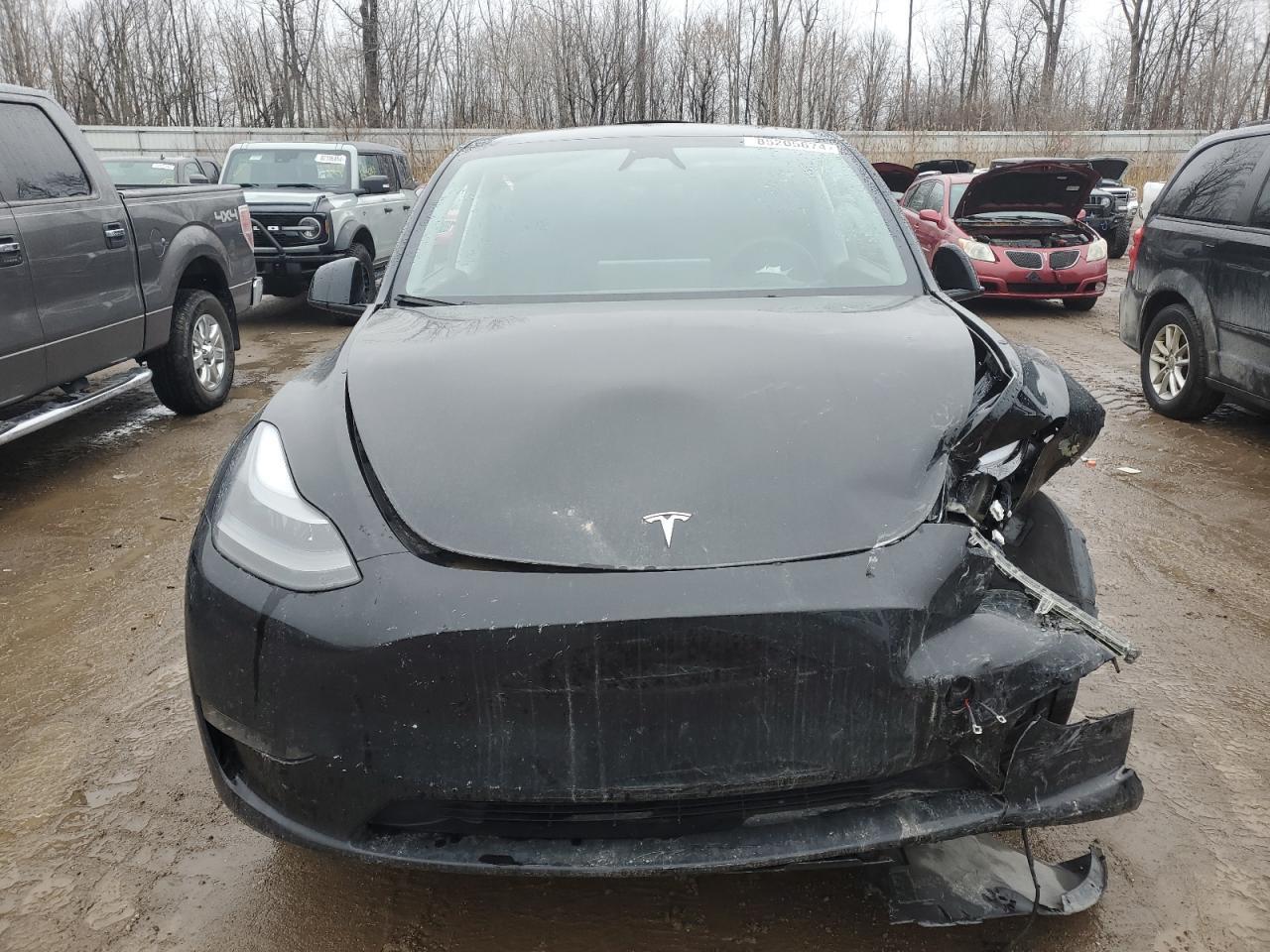 2023 TESLA MODEL Y - Image 5