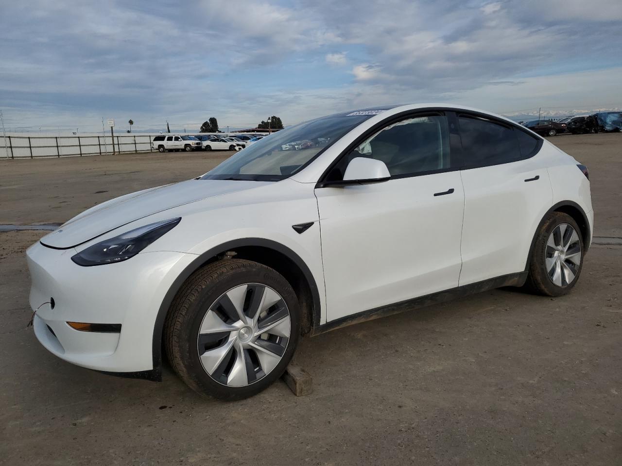2024 TESLA MODEL Y