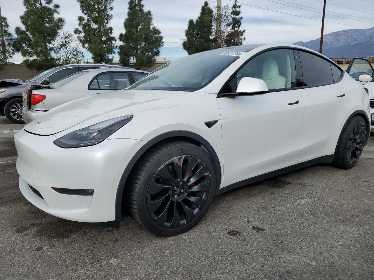 2022 TESLA MODEL Y