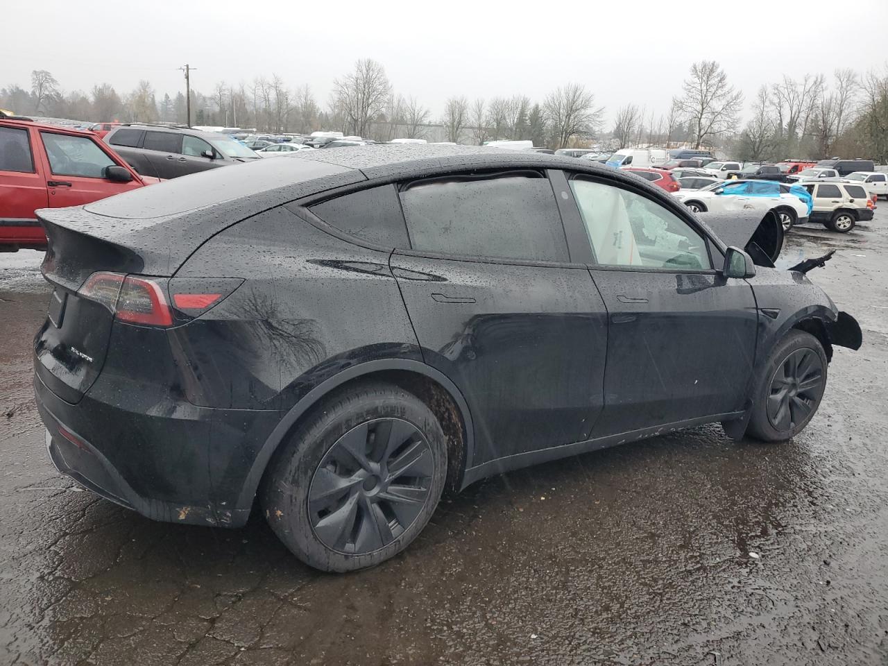 2025 TESLA MODEL Y - Image 3