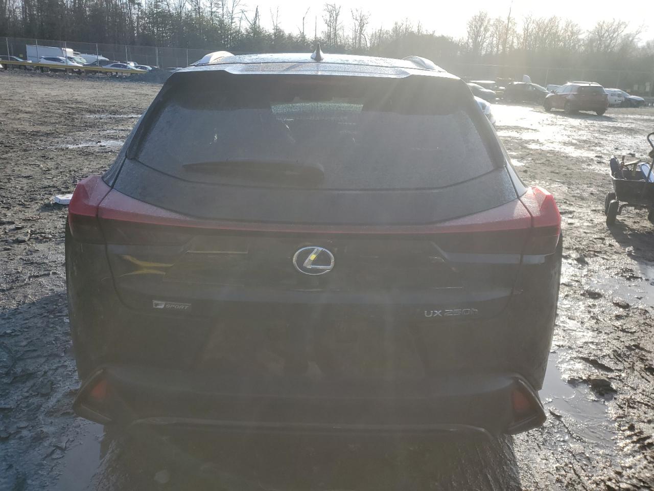 2021 LEXUS UX 250H - Фото 6