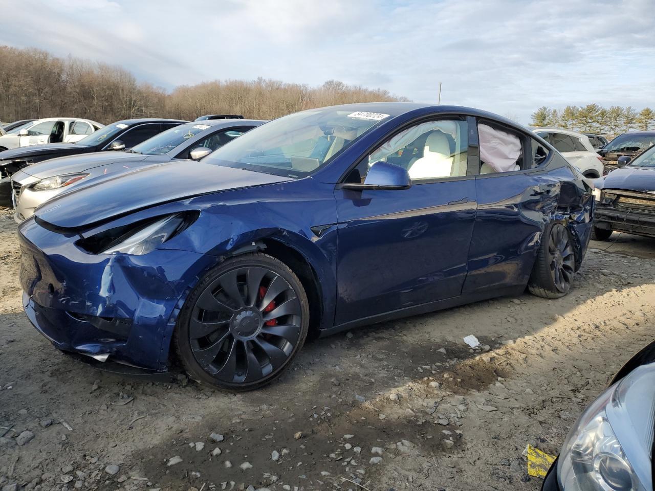 2024 TESLA MODEL Y car image