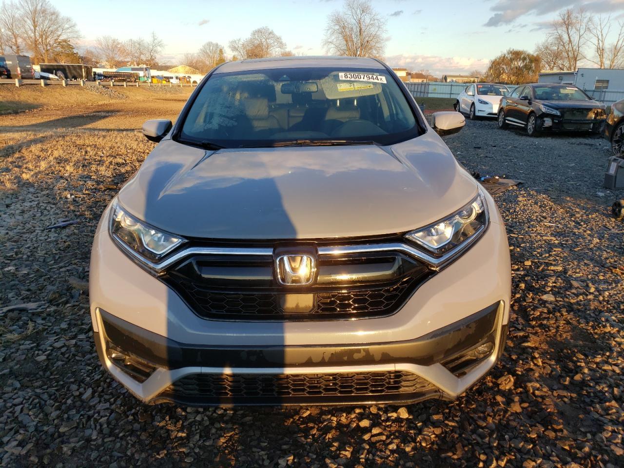 2022 HONDA CR-V EXL - Image 5