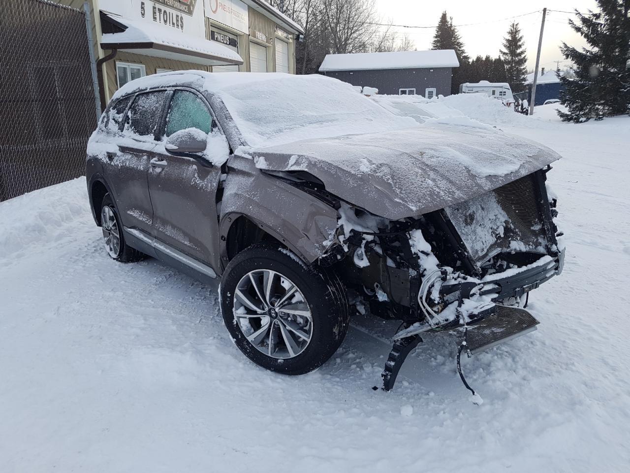 2019 Hyundai Santa Fe Limited - Фото 4