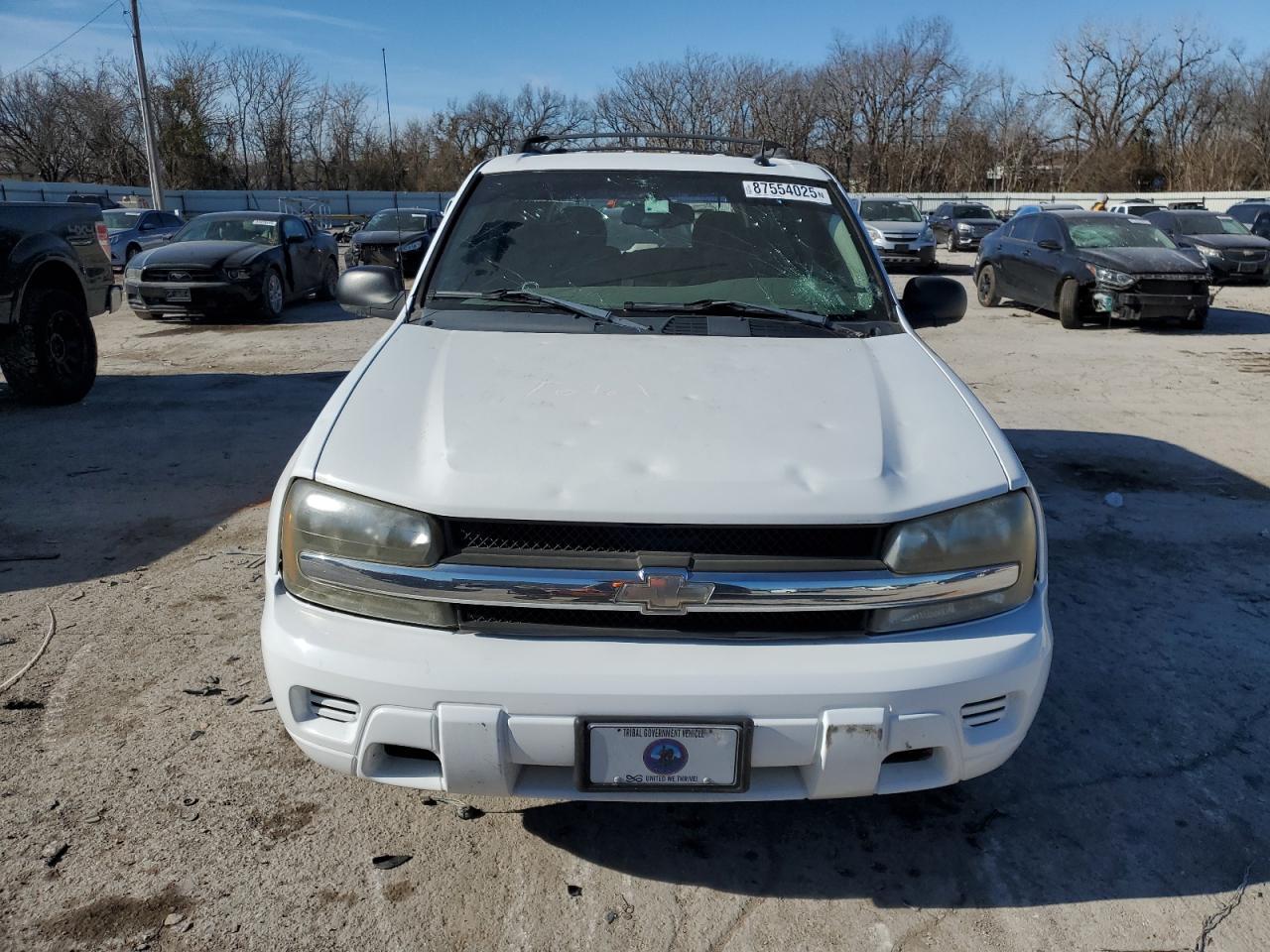 2005 Chevrolet Trailblazer Ls - Фото 5