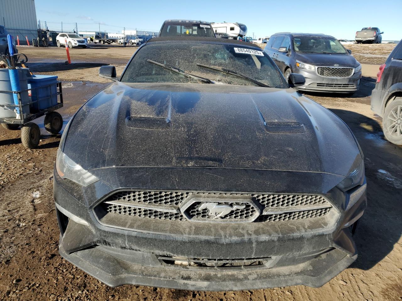 2021 Ford Mustang - Фото 5