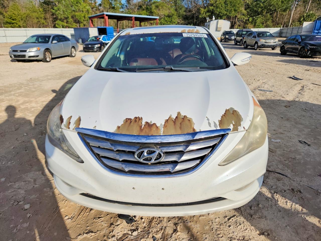 2011 Hyundai Sonata Se - Фото 5