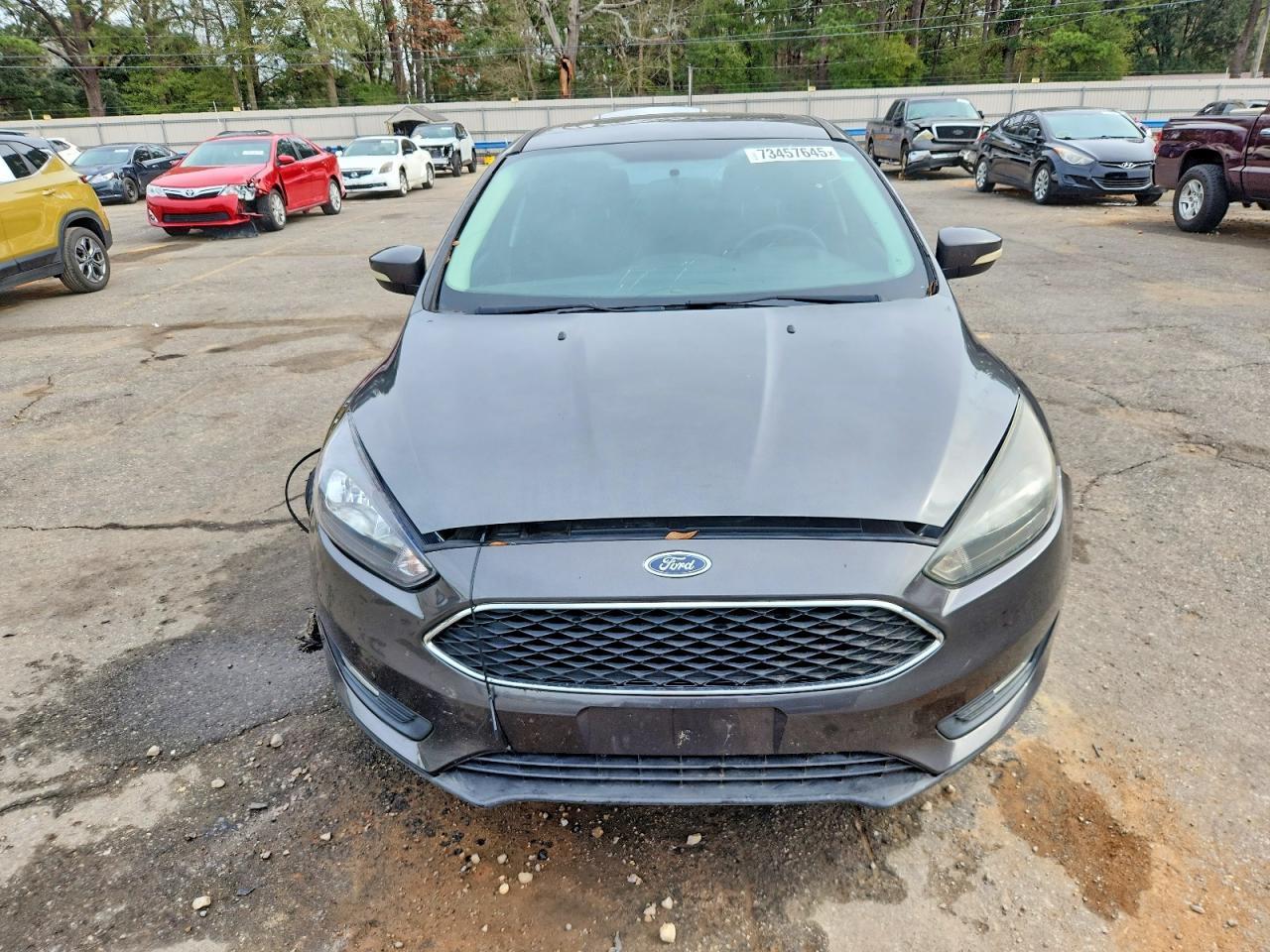 2018 Ford Focus Sel - Фото 5
