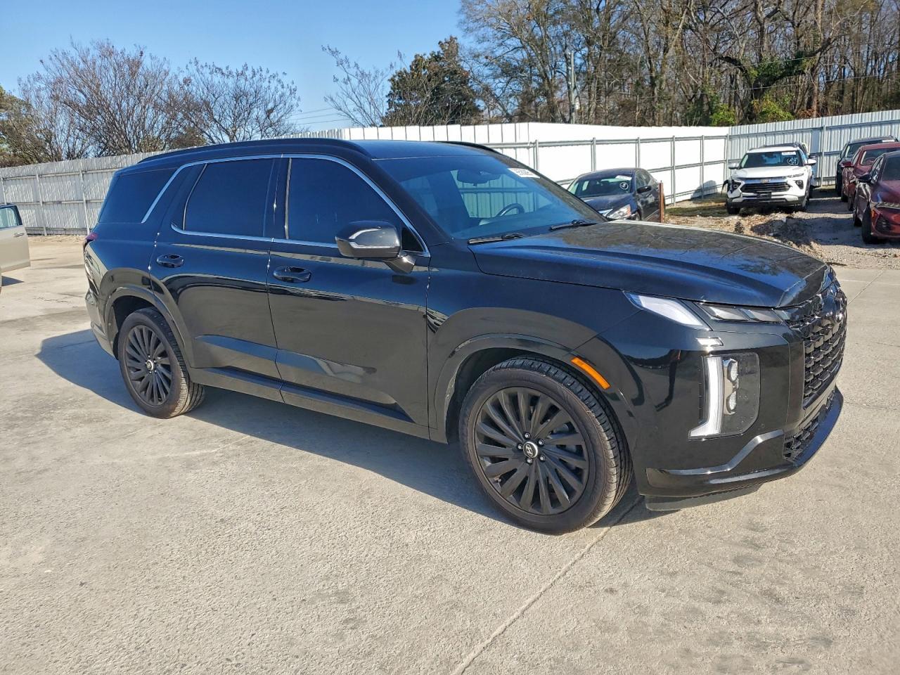 2024 Hyundai Palisade Calligraphy - Фото 4
