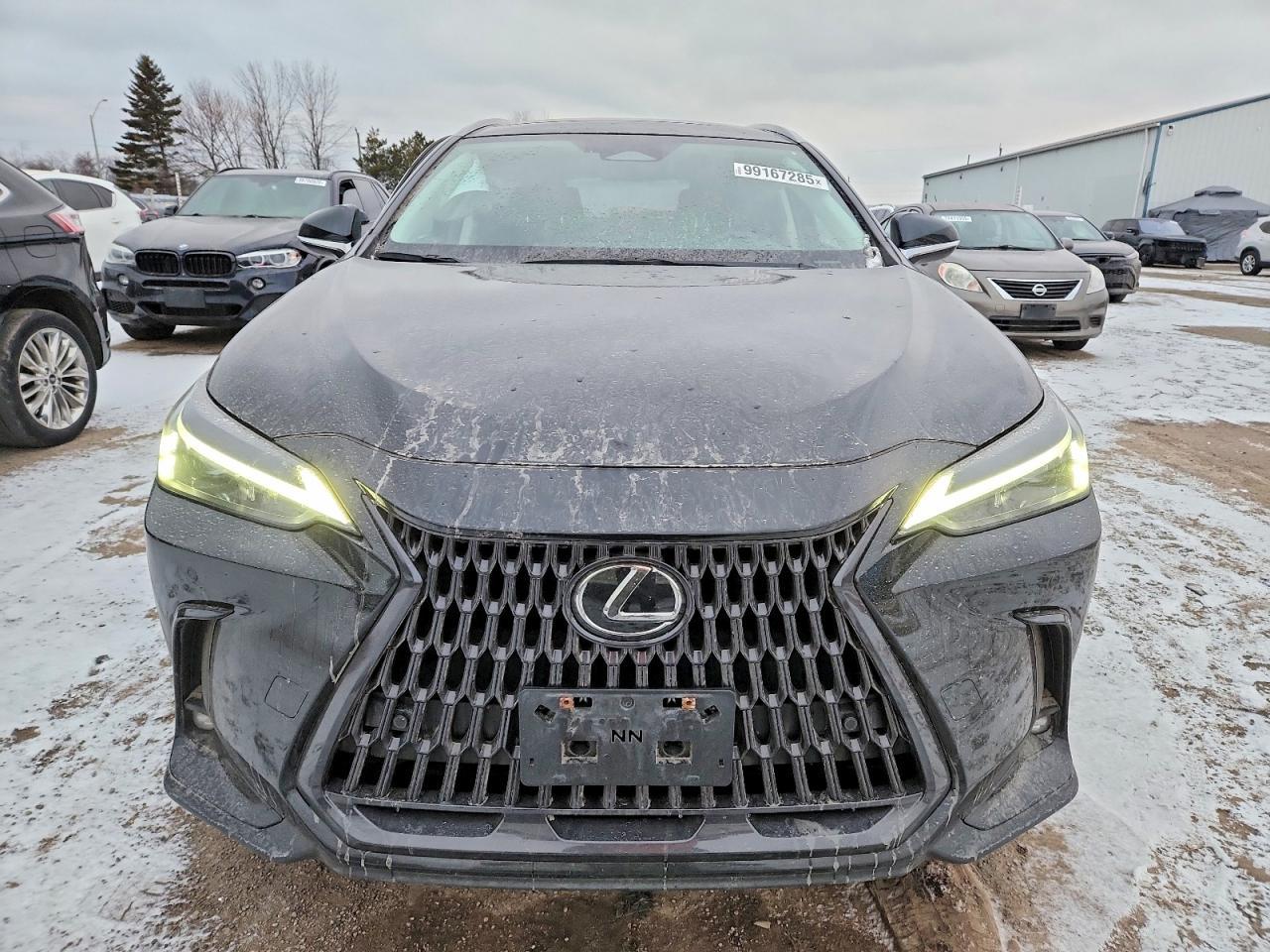 2023 Lexus Nx 350 - Image 5