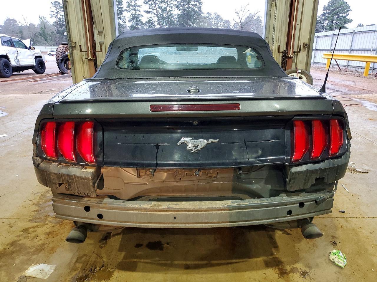 2019 Ford Mustang - Фото 6