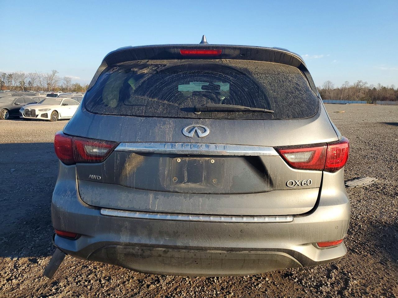 2019 Infiniti Qx60 Luxe - Image 6