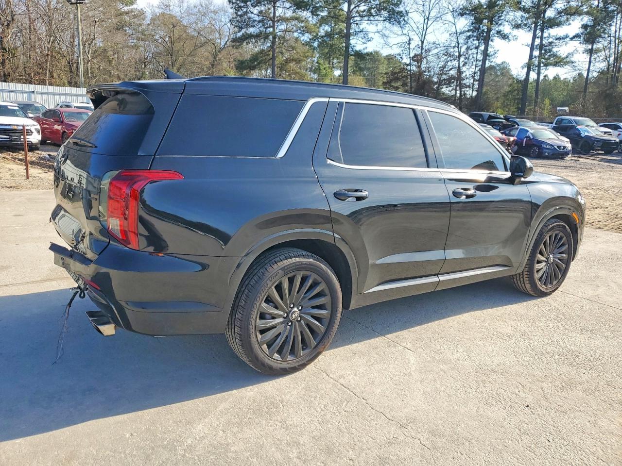 2024 Hyundai Palisade Calligraphy - Фото 3