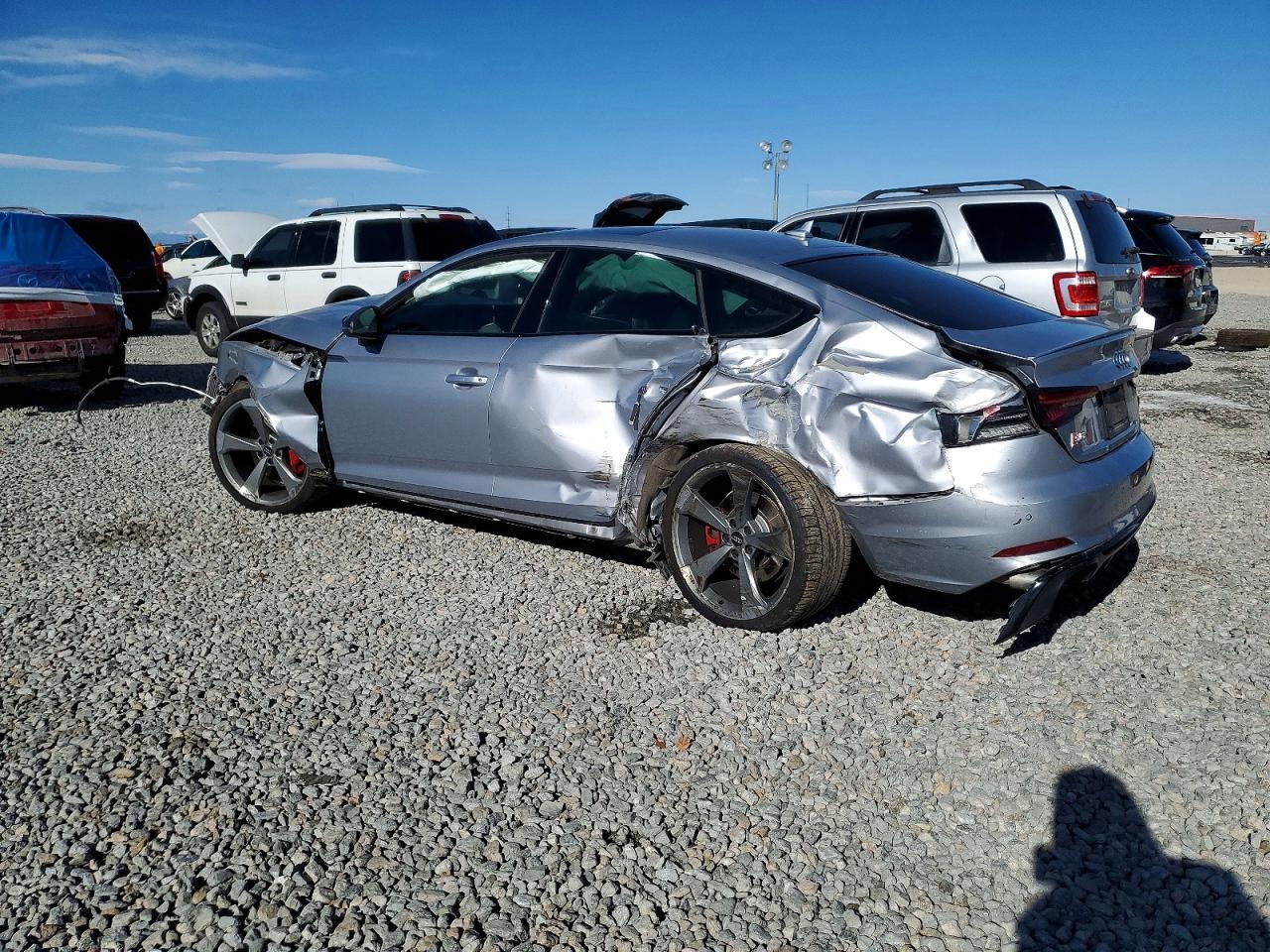 2019 Audi S5 Prestige - Фото 2