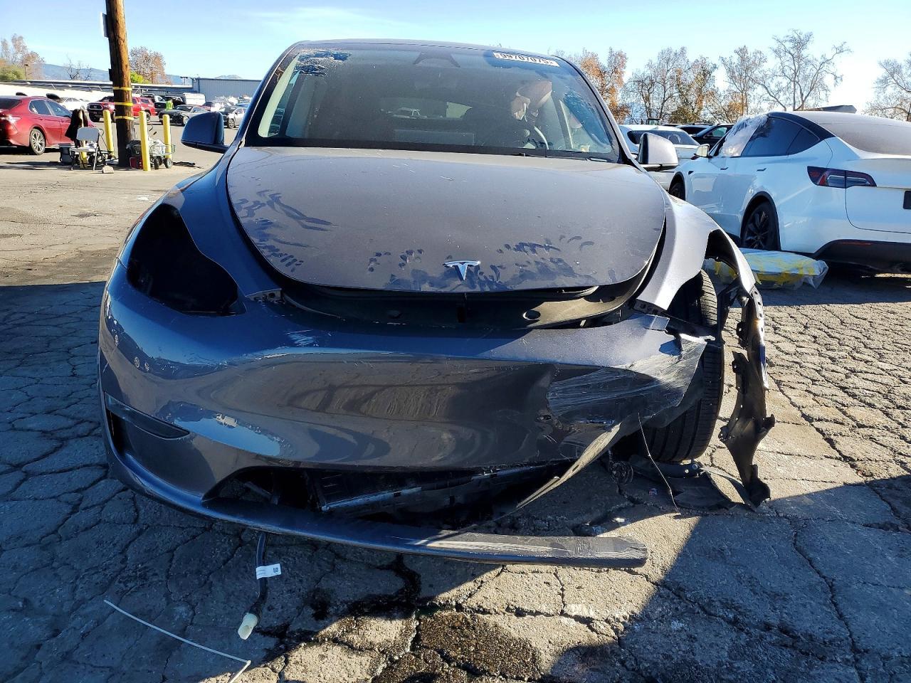 2023 Tesla Model Y - Фото 5