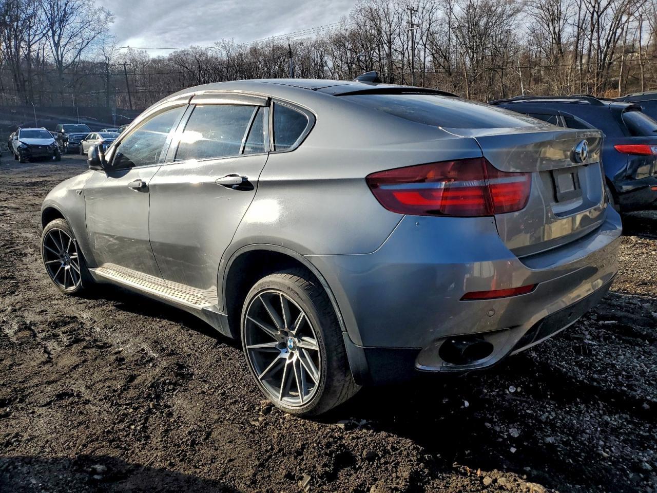 2013 BMW X6 xDrive35I - Фото 2
