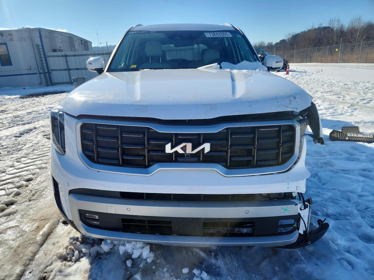 2024 Kia Telluride Sx - Фото 5