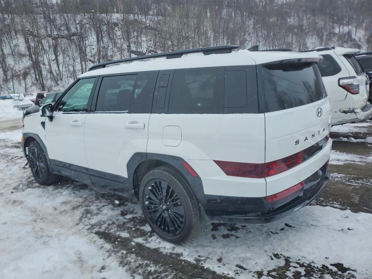 2025 Hyundai Santa Fe Calligraphy - Фото 2