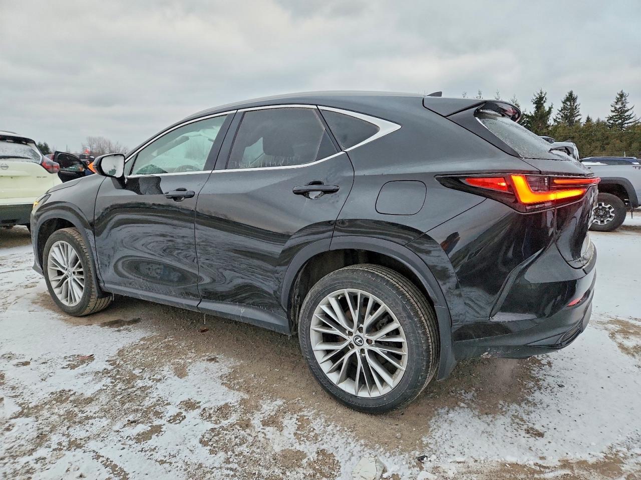 2023 Lexus Nx 350 - Image 2
