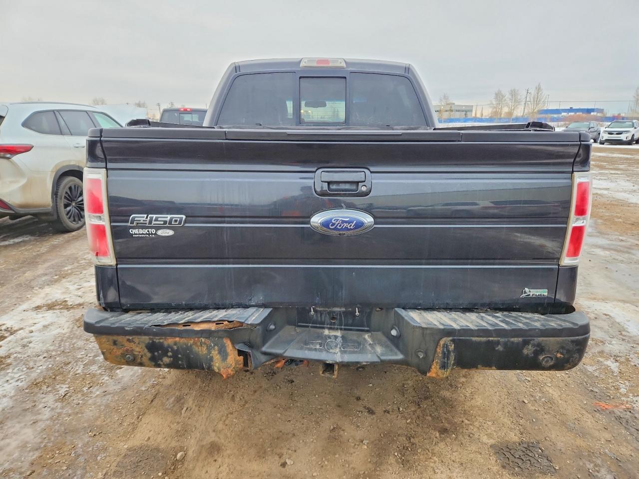 2010 Ford F150 Supercrew - Фото 6
