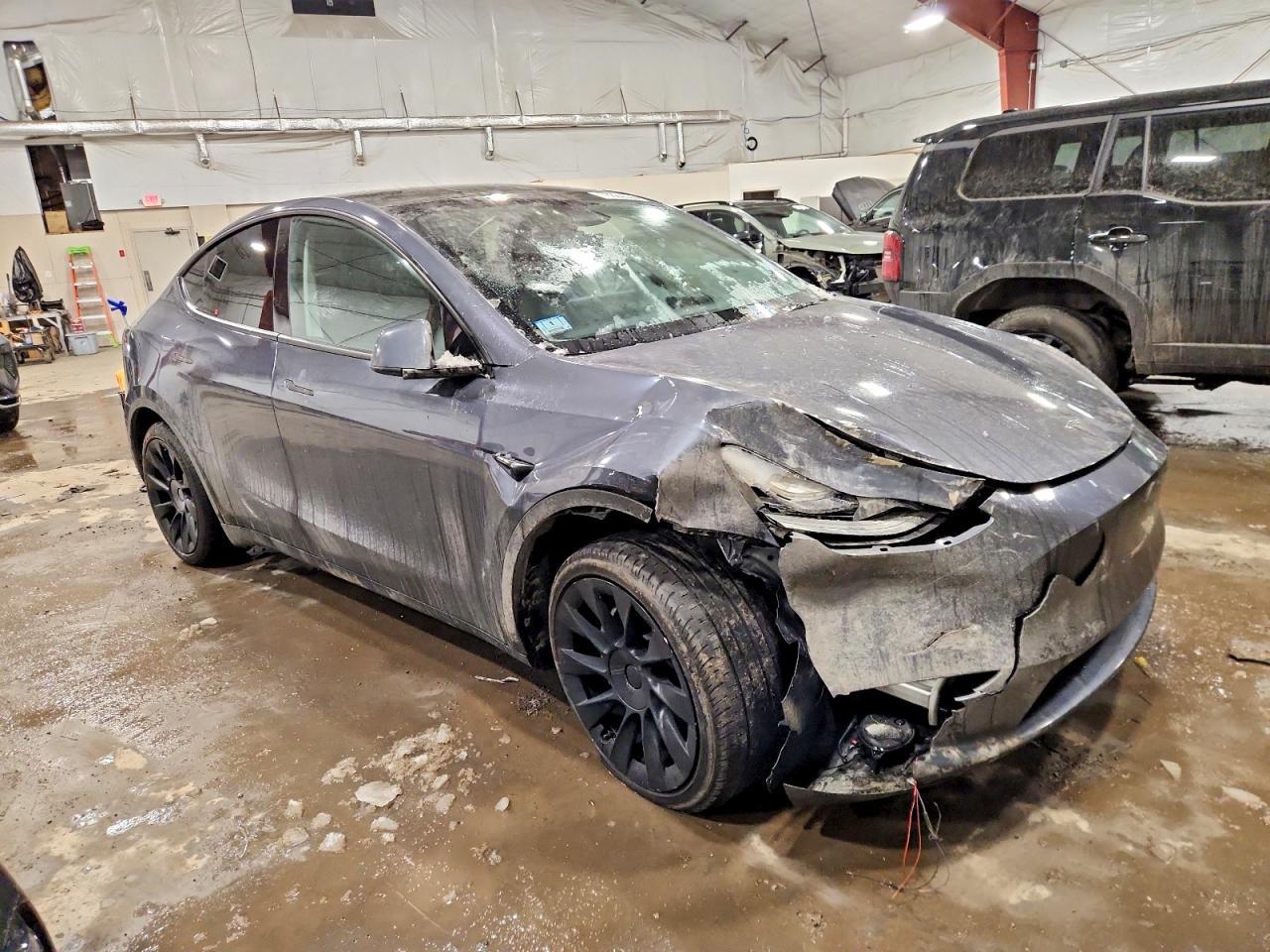 2023 Tesla Model Y - Фото 4